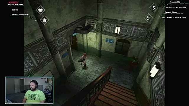 bottombeargaming webcam