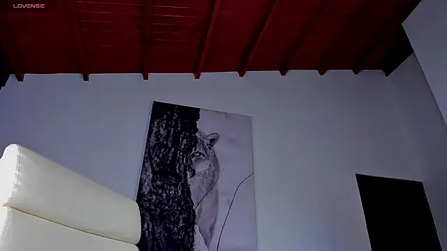 Santos_ramirez1 webcam