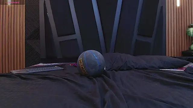 Oliver_Laurent_ webcam