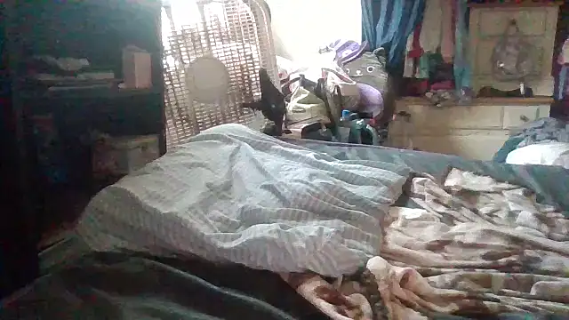 starlight1983 webcam