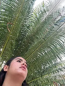 Kaily_Sweet16 webcam