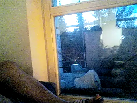 Preview of sirnefastus