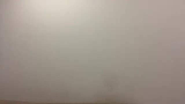 TanjaBrounson webcam