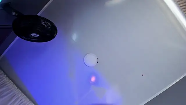 flower_smith_ webcam