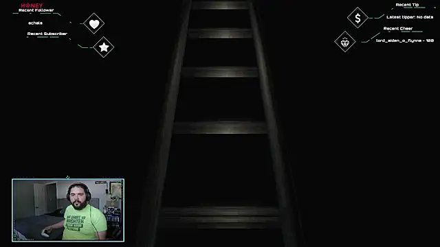 bottombeargaming webcam