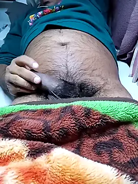 Preview of saddlecock