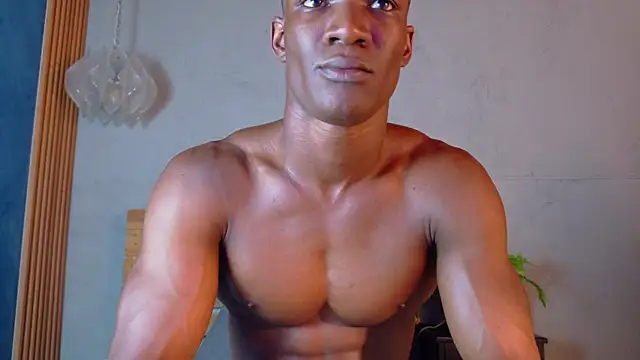 martin_killer webcam