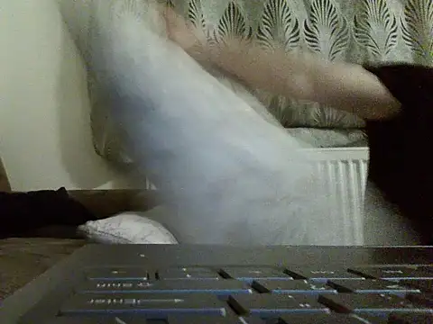 FROL83 webcam