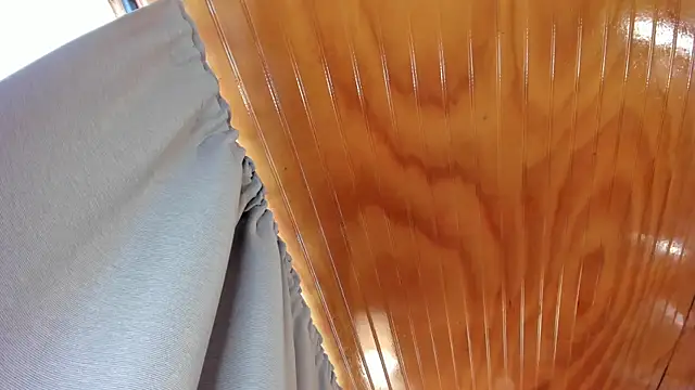 Manson_and_Zoe webcam