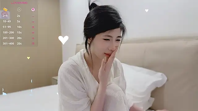 Vaidurya-Yolo webcam