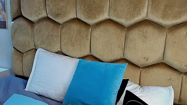 Emmet_CollinsJS webcam