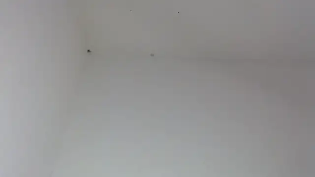 drako_monster webcam