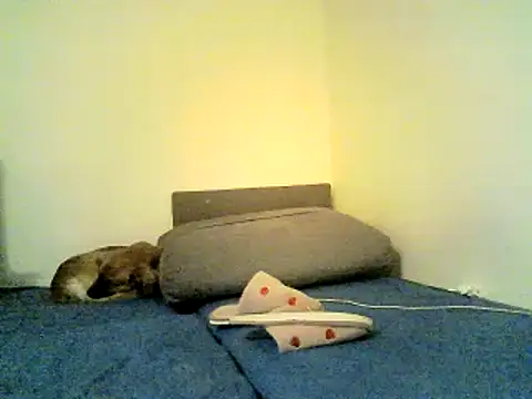 Preview of sirnefastus