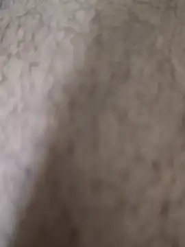 KingCobraClassy webcam