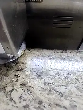 engineer_1980 webcam