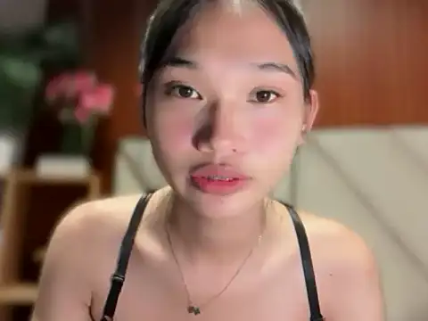 universal_cutie webcam