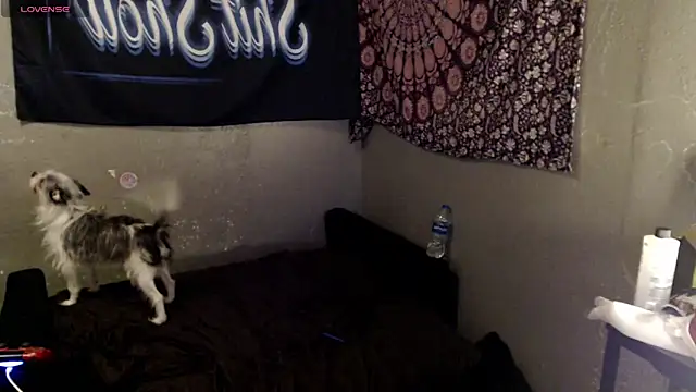 London_Ray live sex cam