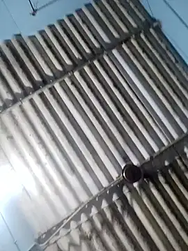 divyasree1431 webcam