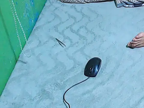 ToiletPlayBarbieDoll webcam