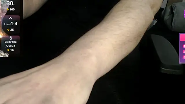 RealMaxAlpine webcam