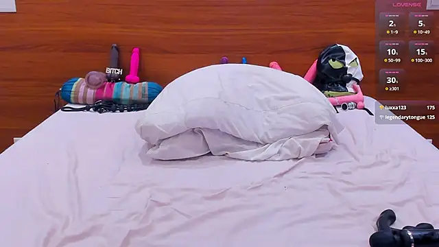 KatashiSenpai webcam