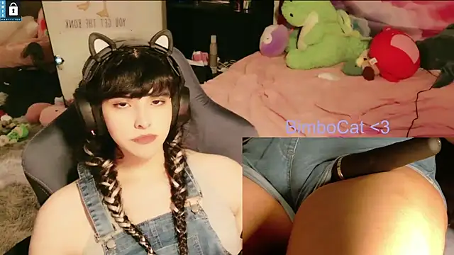 BimboCat webcam