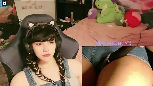 BimboCat webcam