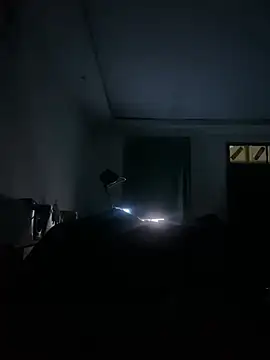 De_maskedcouple webcam