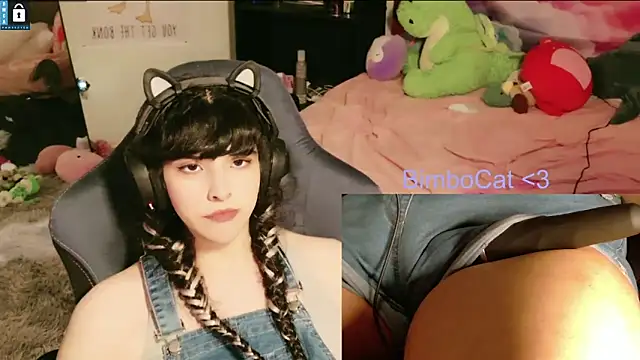 BimboCat webcam