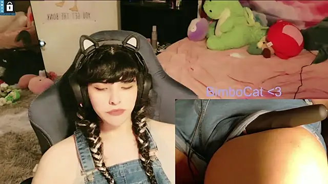 BimboCat webcam
