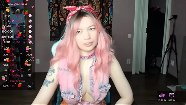 Project_hisoka webcam