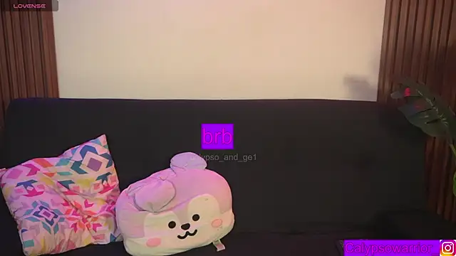 calypso_and_g2 webcam