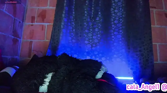 Cata-angel webcam