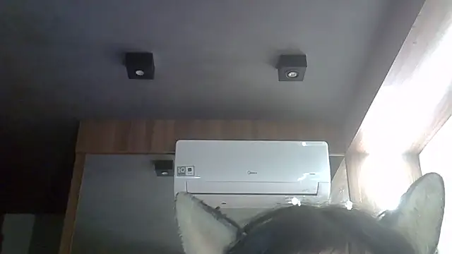 SkinnyKitten webcam