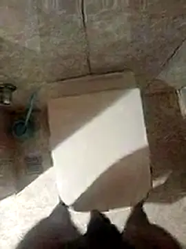 ParlousCarpet webcam