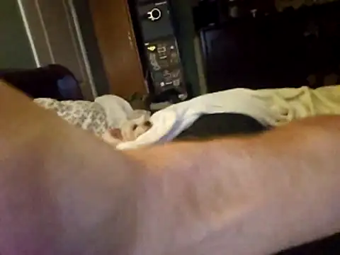 ThatPlatinumD webcam