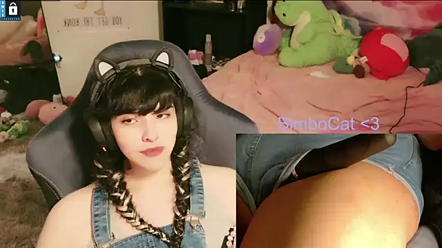 BimboCat webcam