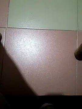 Preview of tickdick320