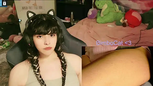BimboCat webcam