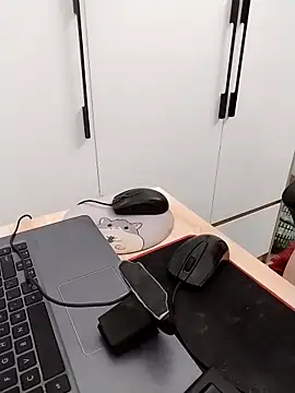 Webcam Model (Tammy_meri)  is live.Free join now!