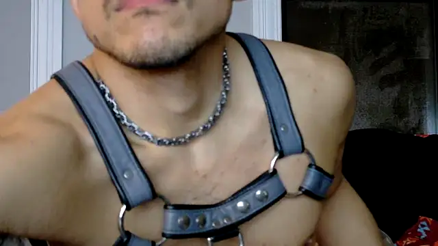 bestofdoseswirls webcam