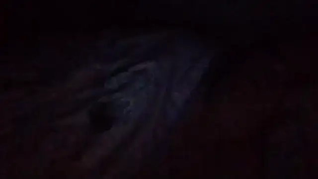 starlight1983 webcam