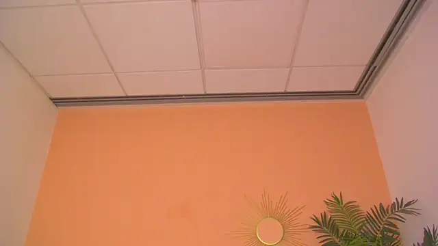 FerrariRedxBabestation webcam