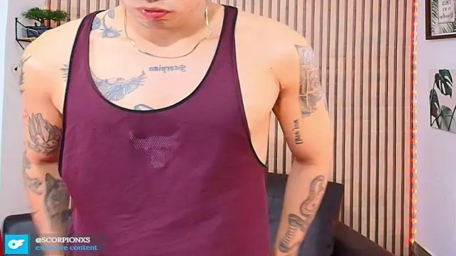 johan_speitzer webcam