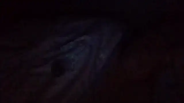 starlight1983 webcam