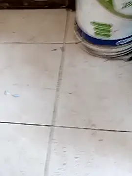 ConvoyedSubgroup webcam