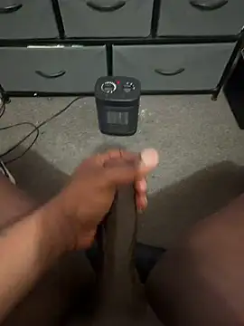 Cameltoekilla webcam