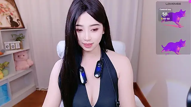 Augenstern_cat webcam