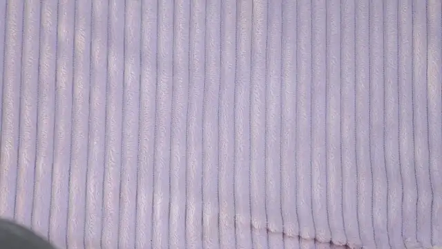 AunclreaVache webcam