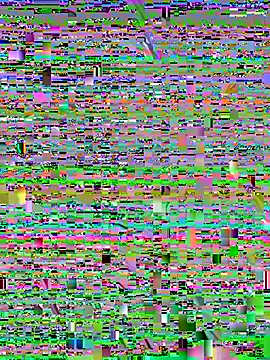 sisi-maiden Stripchat cam model